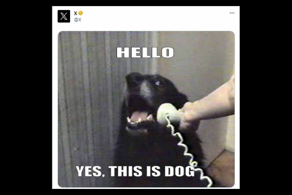 Elon Musk’s X meme post on ‘Dog’ triggers speculation among crypto DOGE community