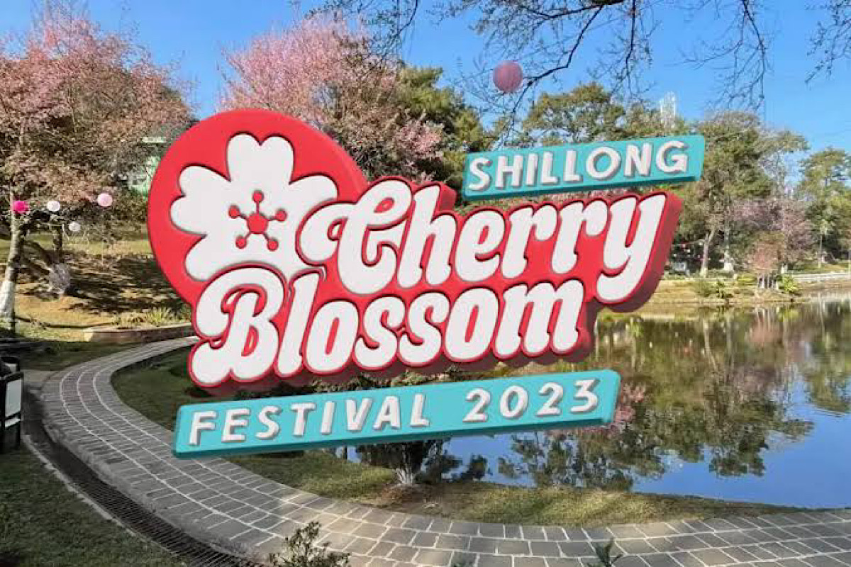 Meghalaya gears up for spectacular Cherry Blossom Festival-2023