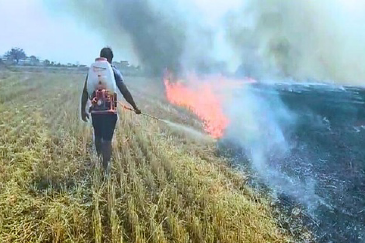 CVoter survey reveals very low awareness of stubble burning