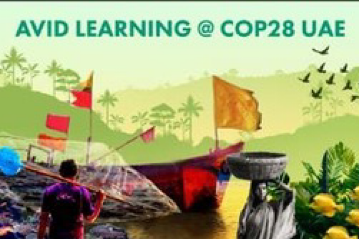 Avid Learning to amplify voices of cultural sustainability and environmental innovation at COP28