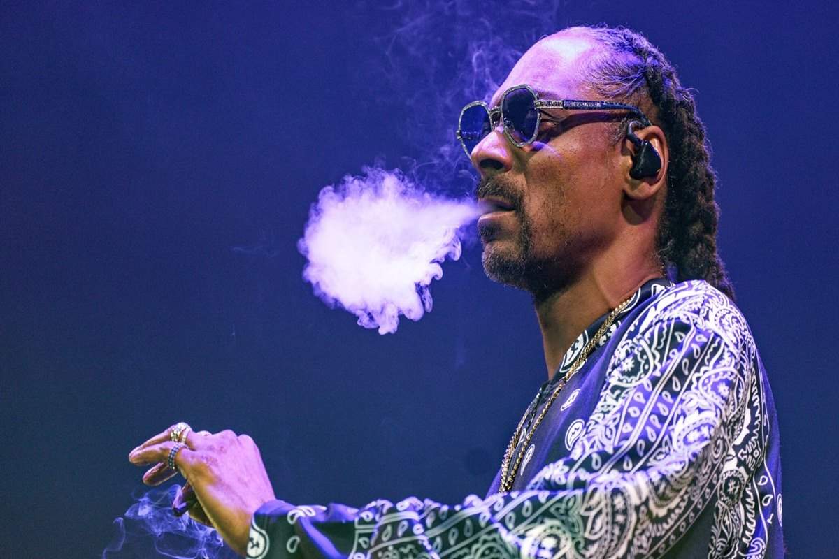 Snoop Dogg and Solo Stove: A Smoke-Free Collaboration Sparks Buzz