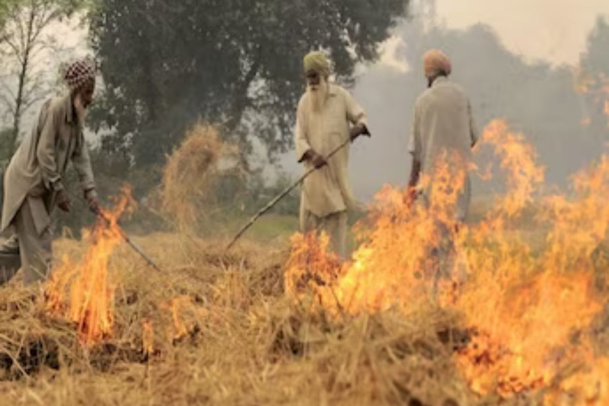 Centre asks Punjab to stop stubble burning
