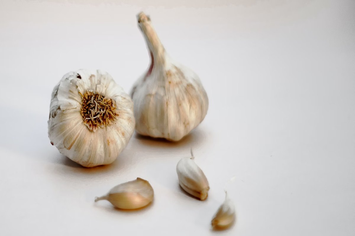 Garlic and Its Multifarious Benefits: Why Should You Favor It?