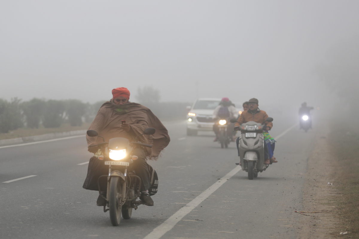 Punjab, Haryana face cold wave; 9 deaths in fog-related incidents