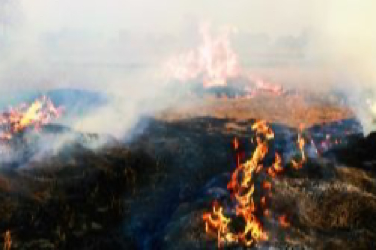 Farmers defy orders, burn stubble causing pollution