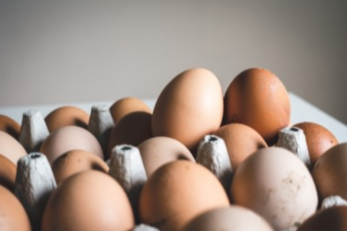 Egg prices shot up by ` 1.50 a piece