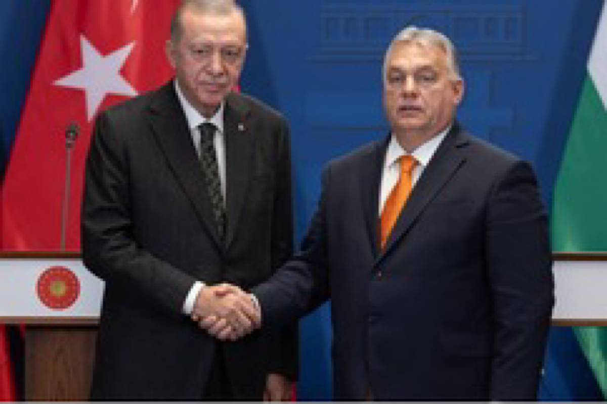 Hungary, Turkey elevate bilateral ties to ‘priority strategic’ level