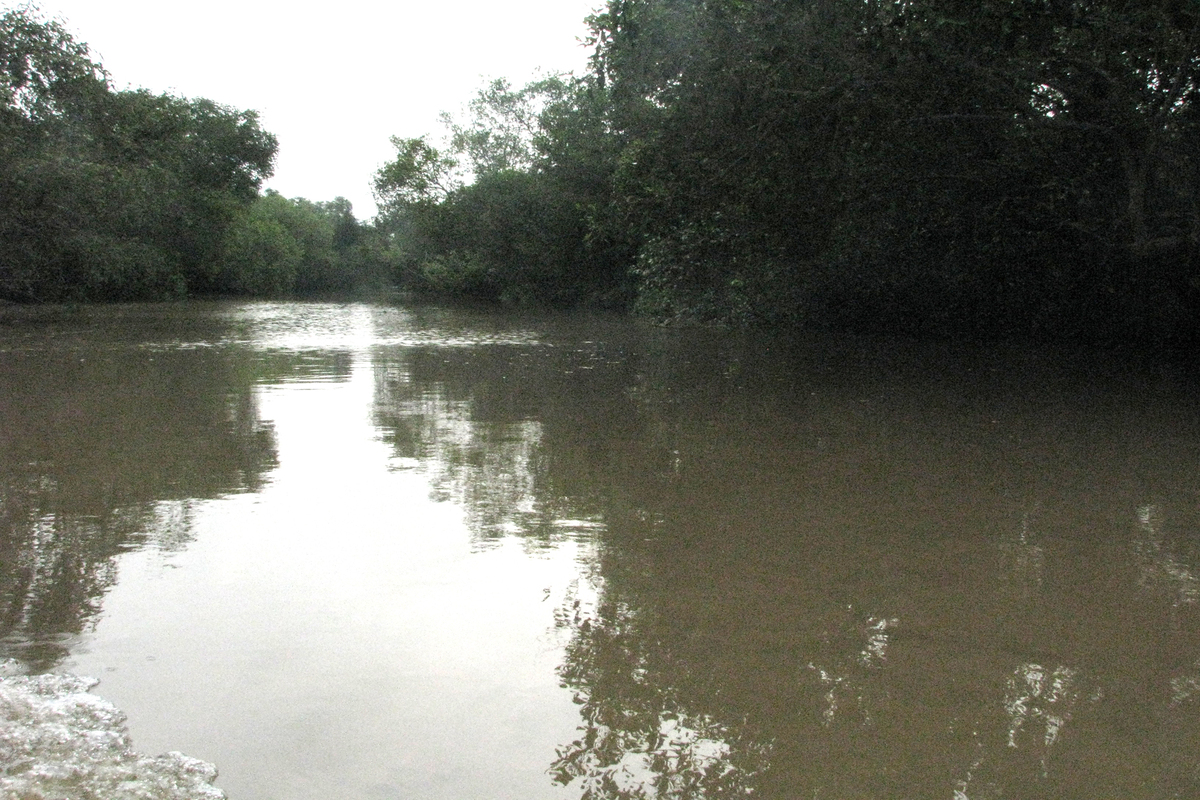 Climate change risk looms over Odisha’s Bhitarkanika Mangroves