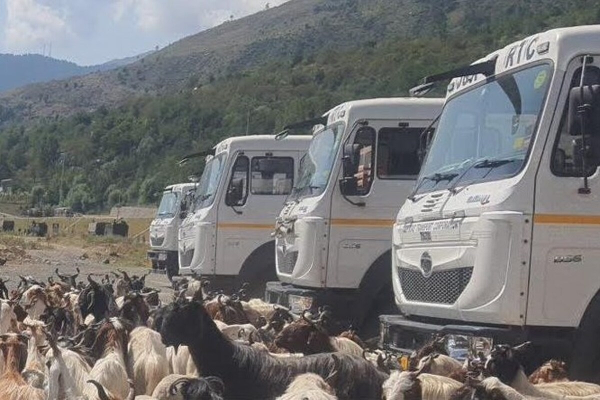 J&K transports 1.56 lakh livestock in trucks during biannual transhumance