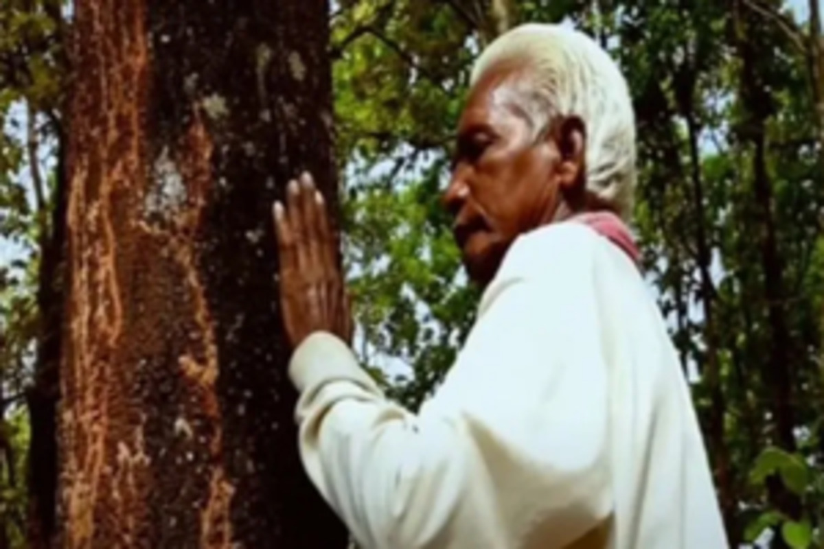 Padma Shree Dukhu Majhi elated as his passion for planting trees yields fruit