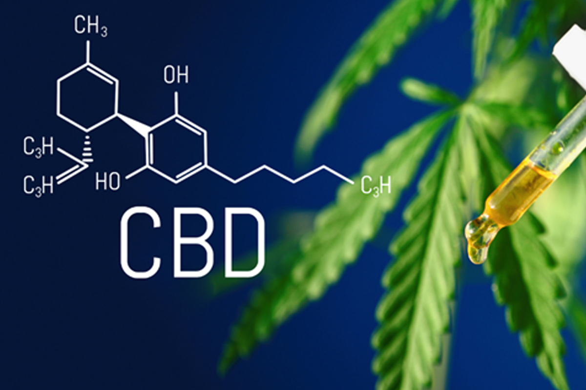 Why CBD Guest Posting Is Beneficial for Your Business?