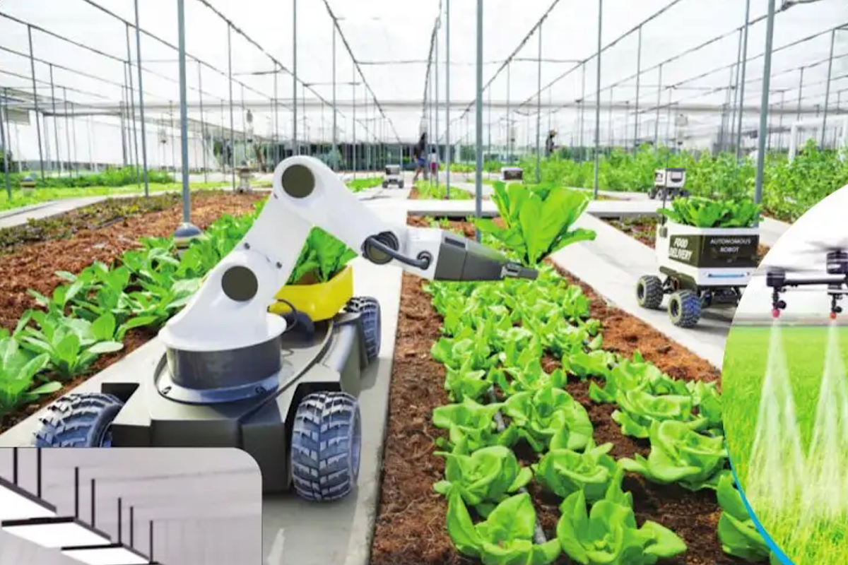 Can technological advancements revolutionise agriculture in north-eastern states?