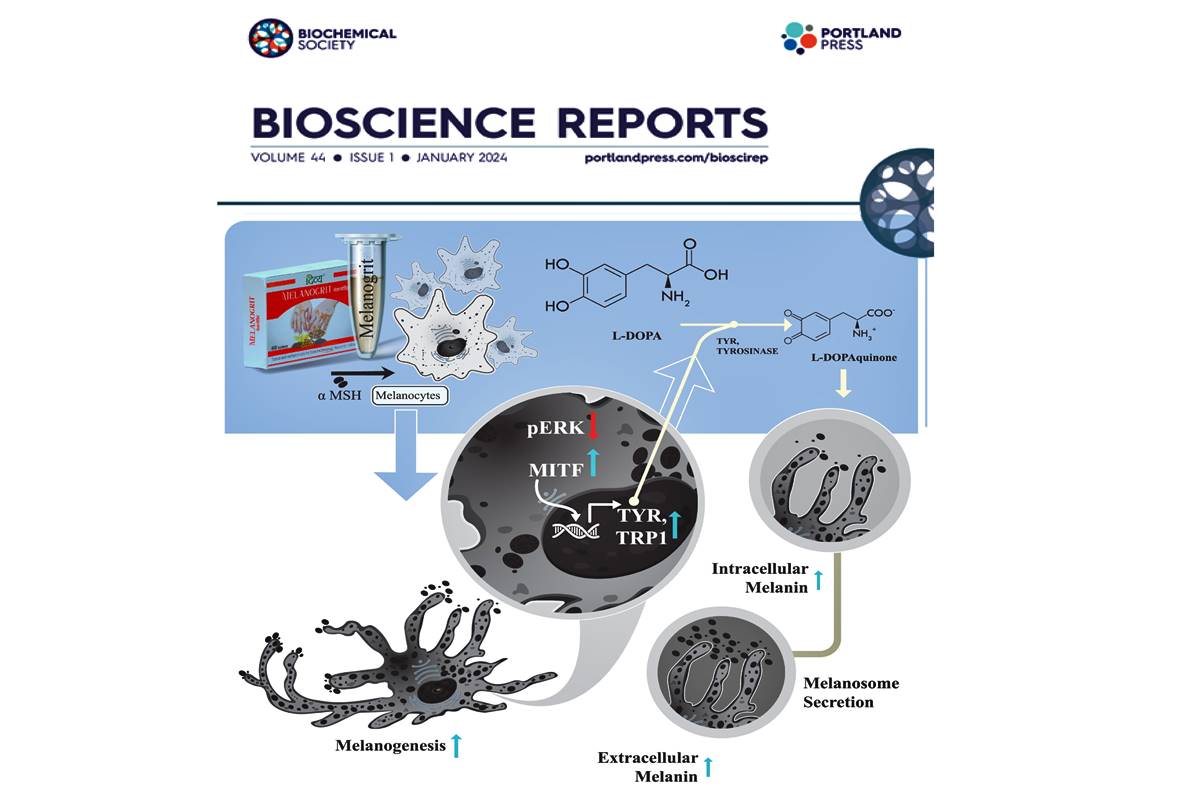 Patanjali’s Melanogrit research features on cover page of Bioscience Reports