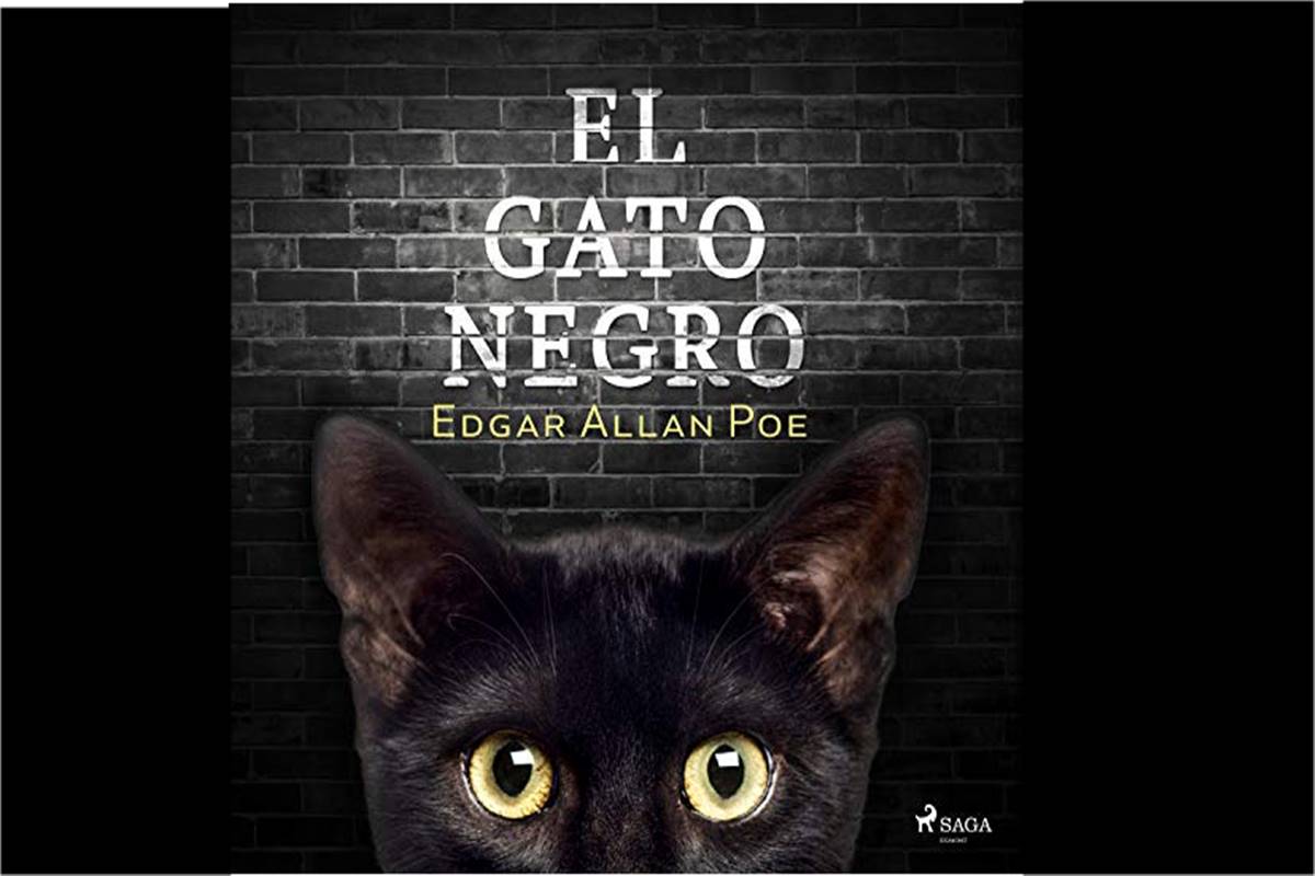 Diego Boneta leads Amazon Prime’s ‘El Gato Negro’ adaptation