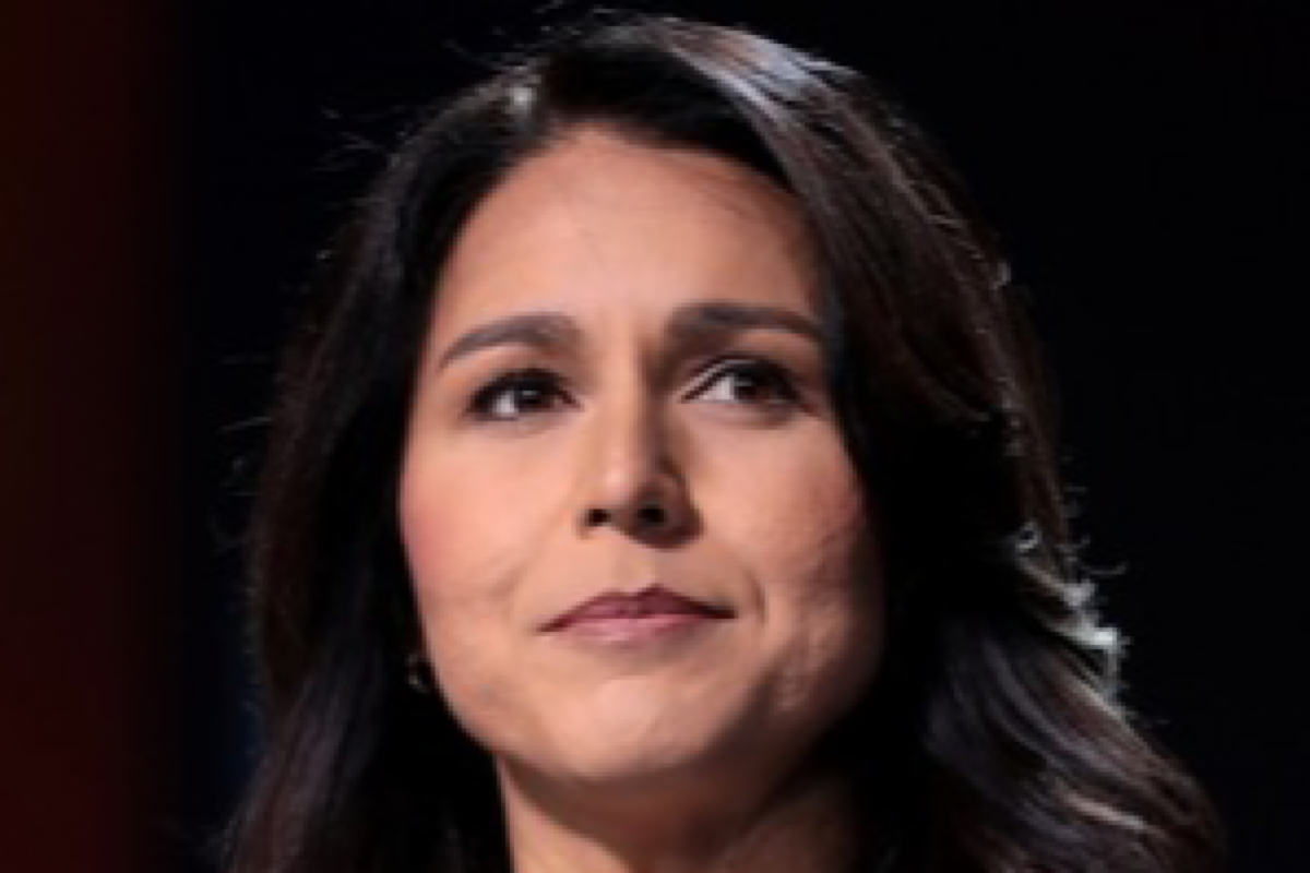 Tulsi Gabbard ‘open’ to talks on running as Trump’s mate, discusses foreign policy