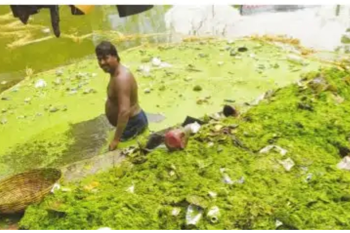 BMC ward cleans ponds in the area