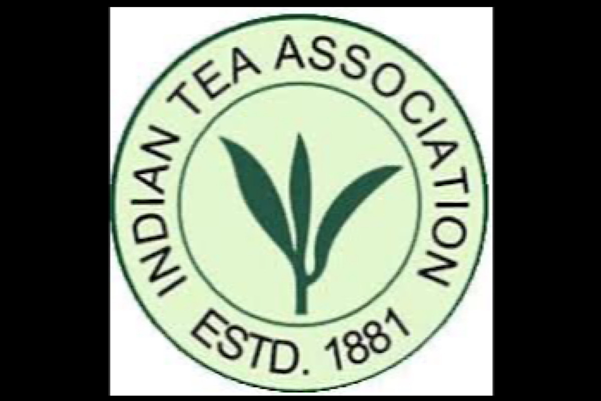  ITA claims registered tea gardens follow FSSAI norms