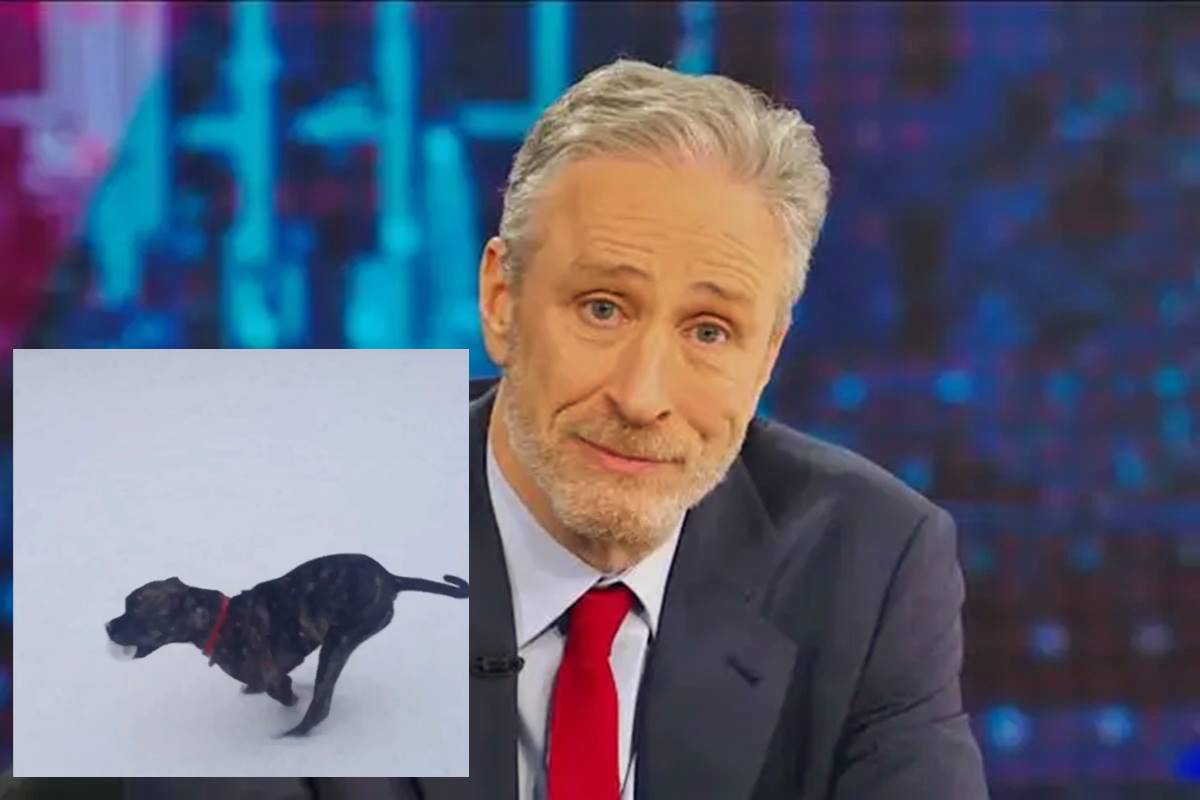 Jon Stewart mourns the loss of his dog, Dipper