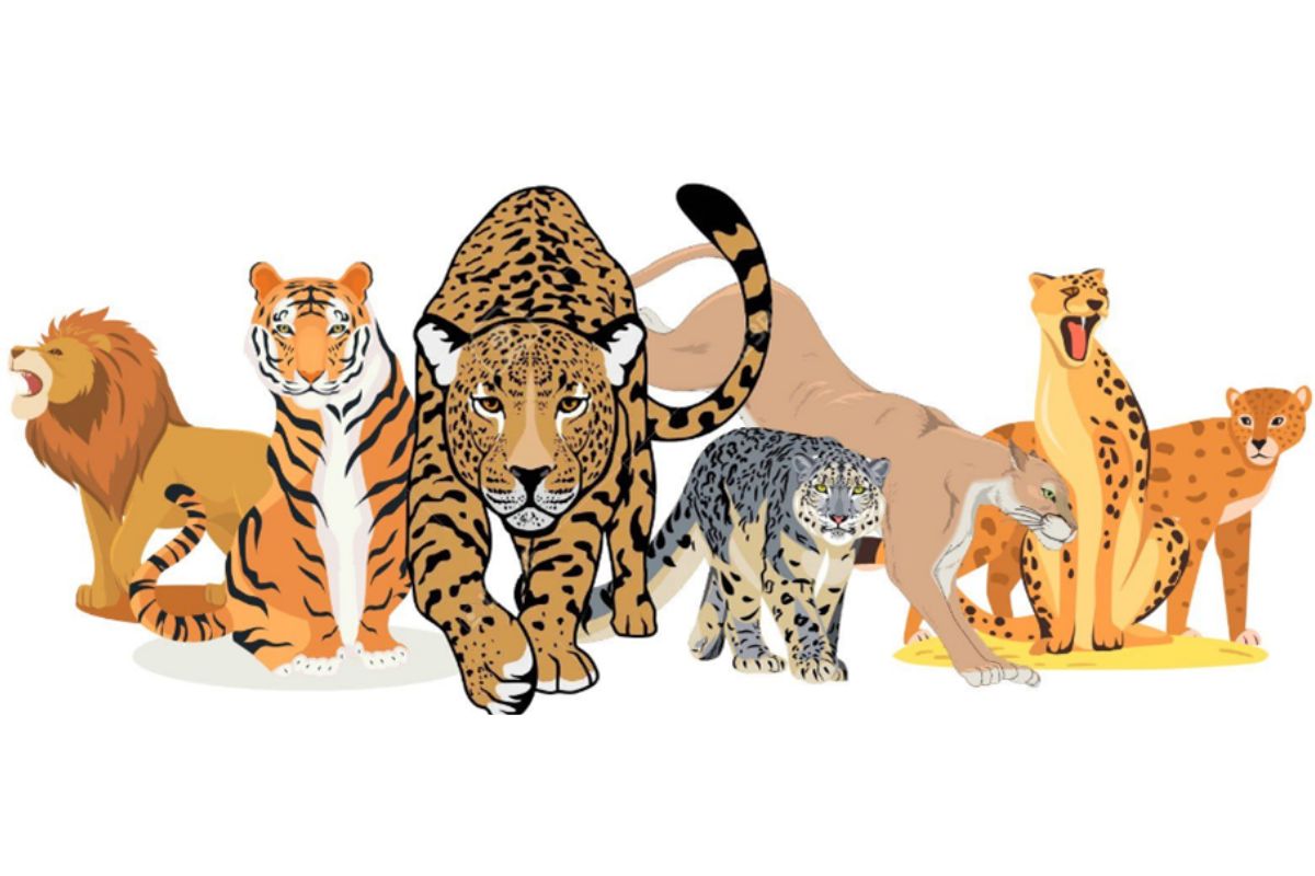 Govt approves International Big Cat Alliance for tiger conservation