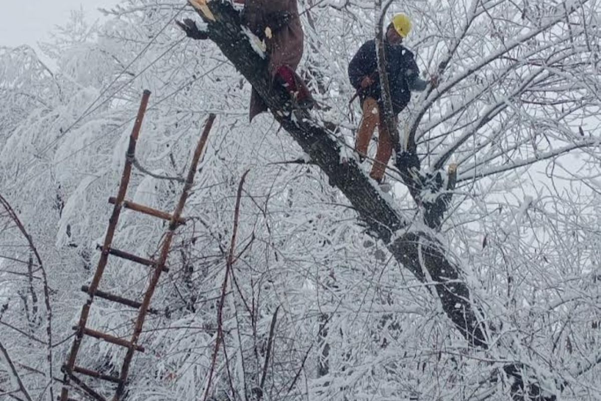 Heavy snowfall disrupts normal life in J&K, Ladakh