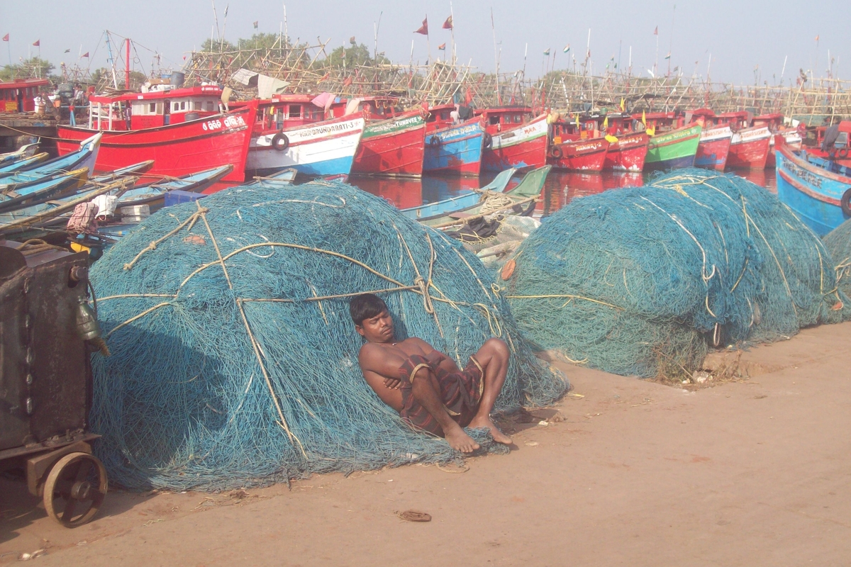 Odisha disburses Rs 22-crore aid to fishers hit by olive turtle conservation
