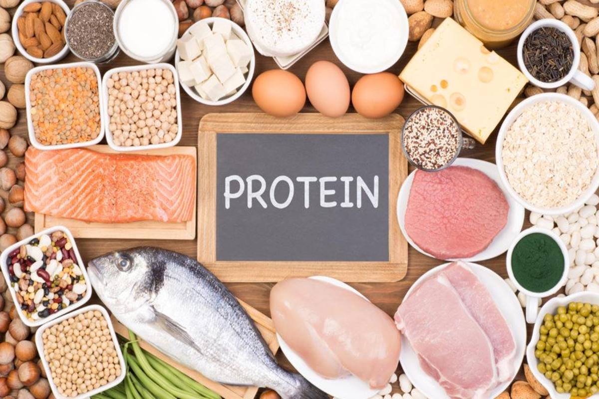 National Protein Day: Know its importance for our body