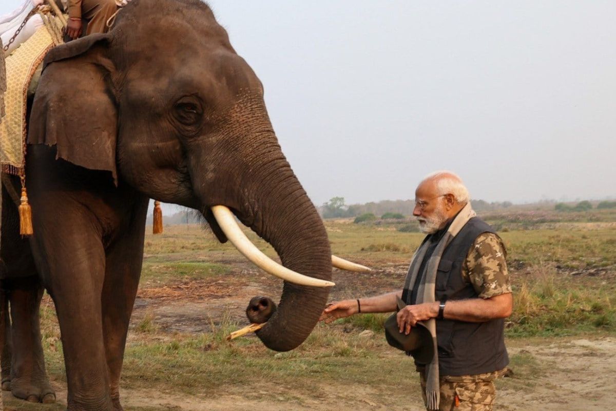 PM undertakes elephant safari in Kaziranga, to unveil ‘Statue of Valour’