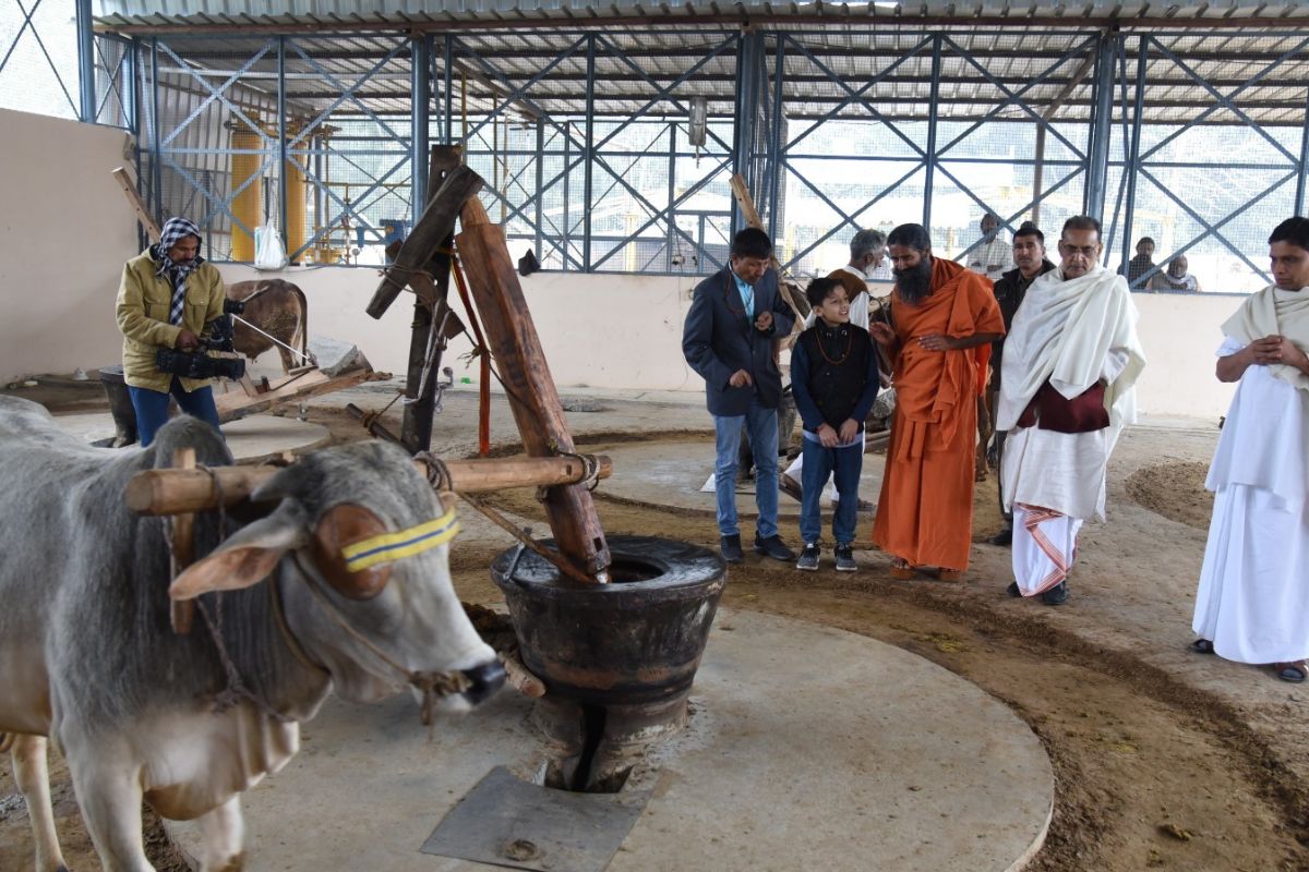Patanjali research on Kolhu-extracted mustard oil.