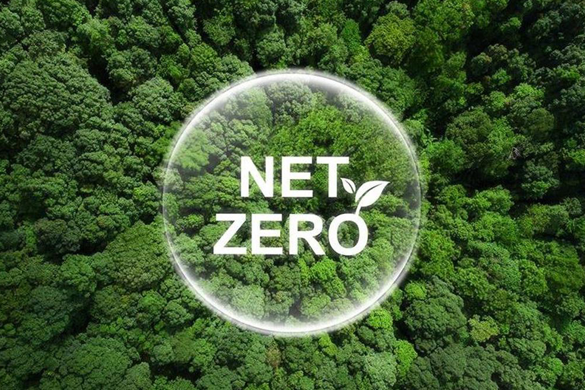 Net zero commitment on a credible action pathway