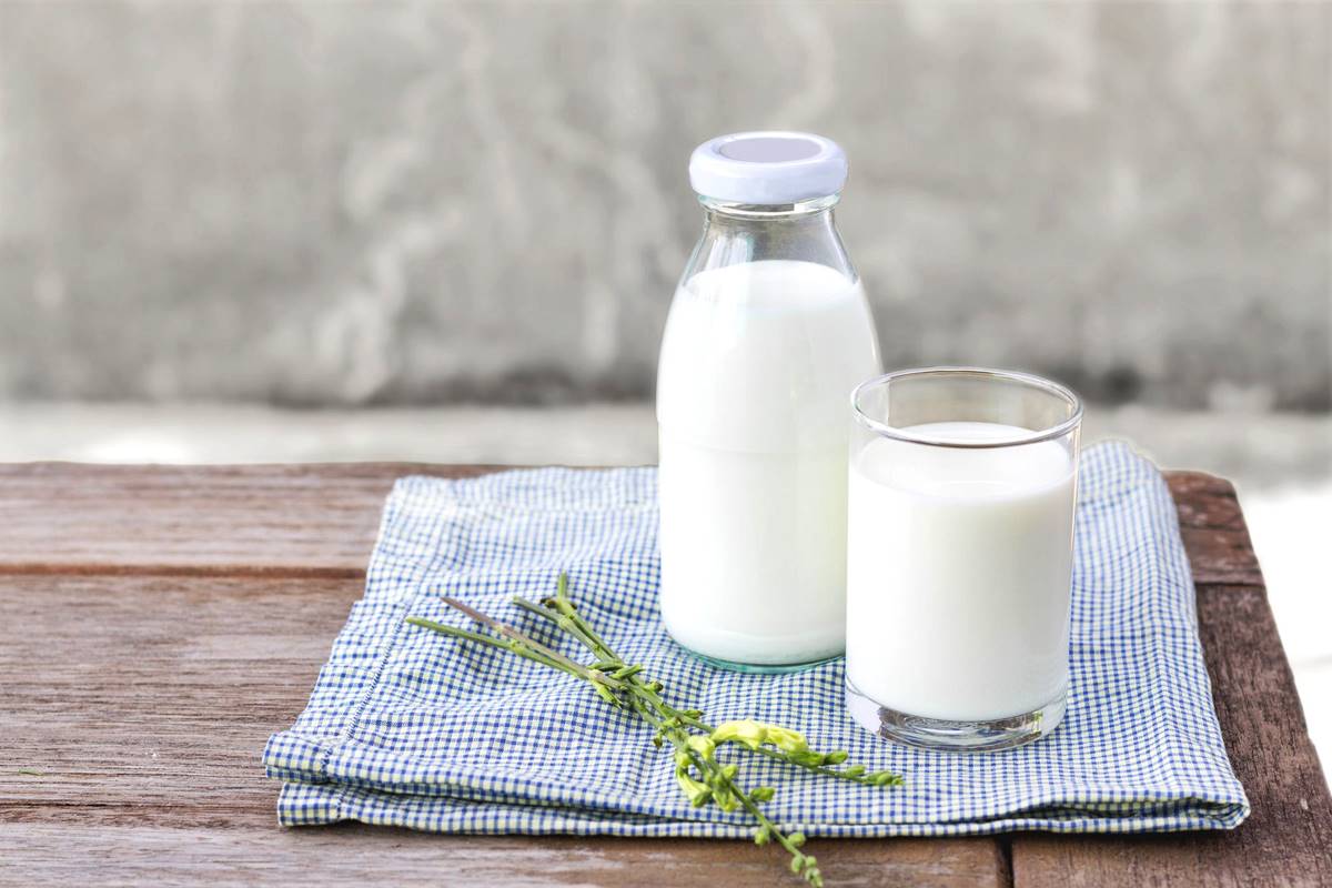 Goat milk: The skin elixir
