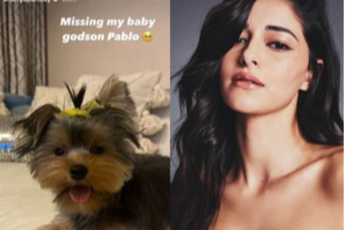 Ananya Panday misses ‘godson’ Pablo; asks BFF Shanaya to send him for ‘sleepover