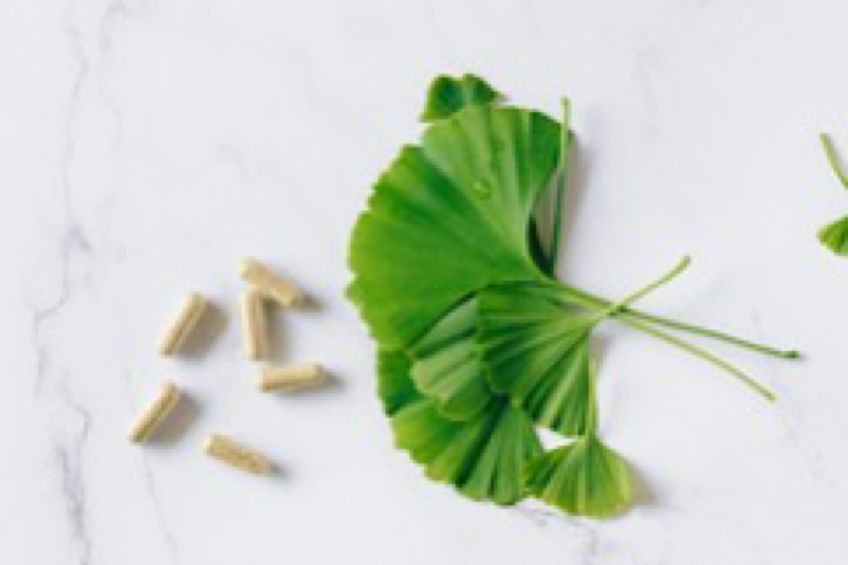 A scientific exploration of herbal supplements for well-being in India