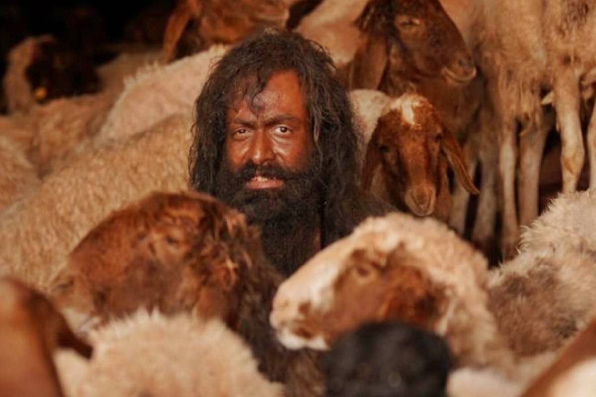 Prithviraj Sukumaran shines in ‘The Goat Life’ amidst Malayalam cinema’s global rise