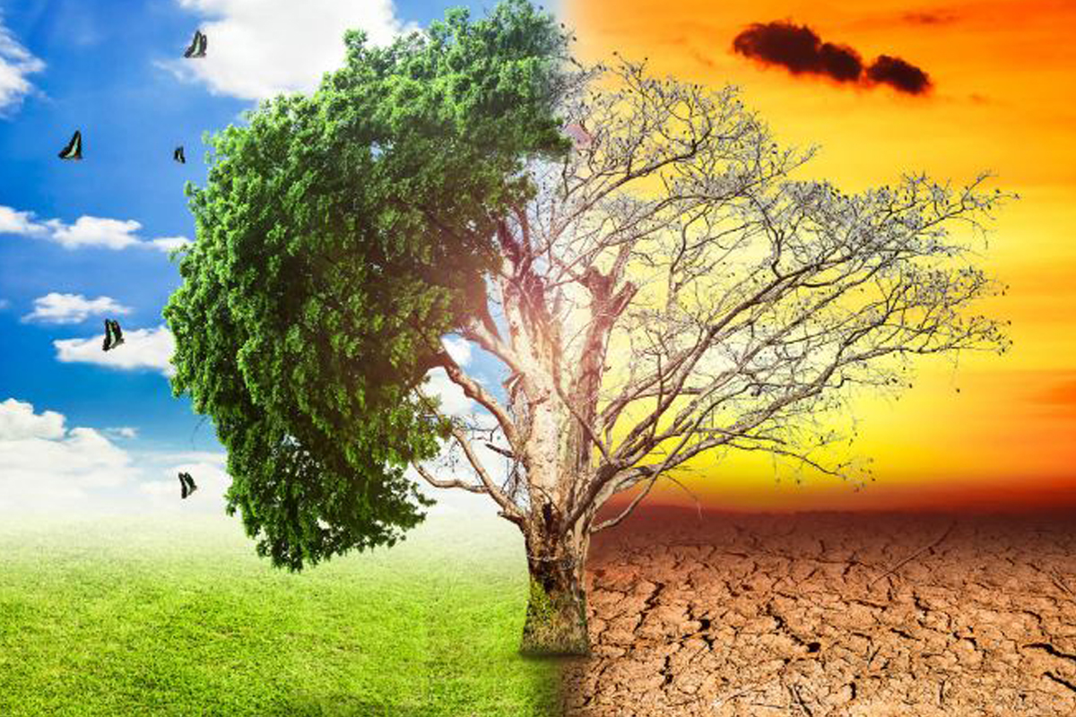 Indian summers will only get hotter: Time to build resilience