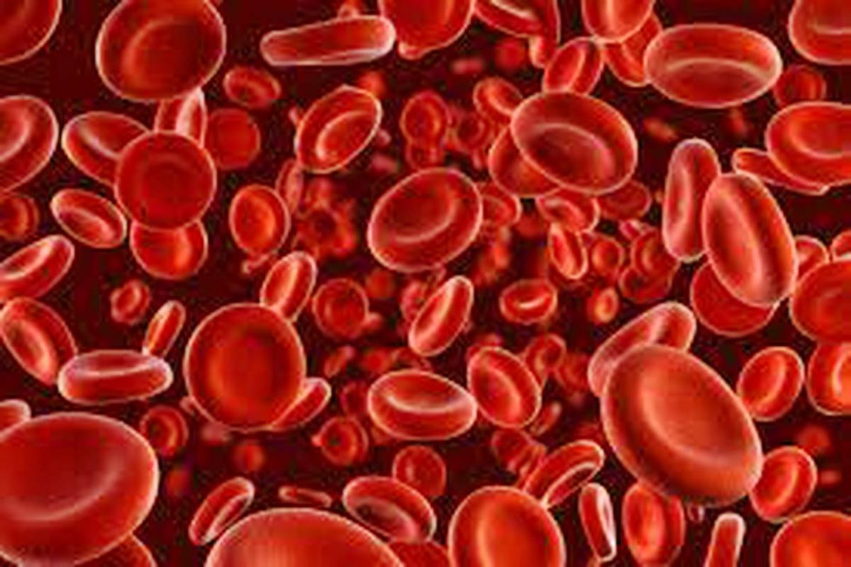 Stay vigilant by recognizing these early signs of Haemophilia
