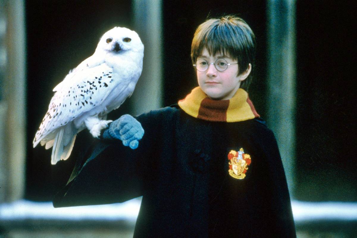 International Harry Potter day: This is how fans celebrated the magic