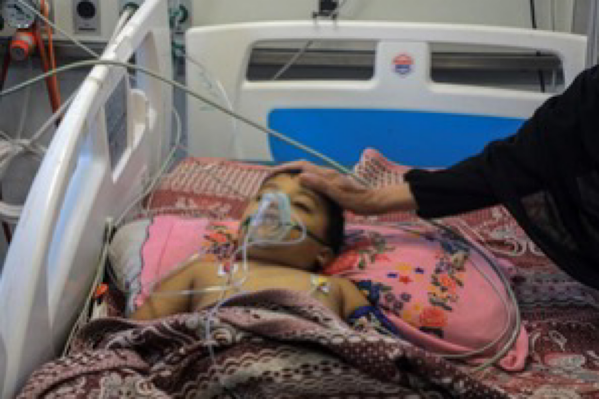 10 Palestinian security personnel of merchant trucks killed by Israeli army in Rafah: Sources