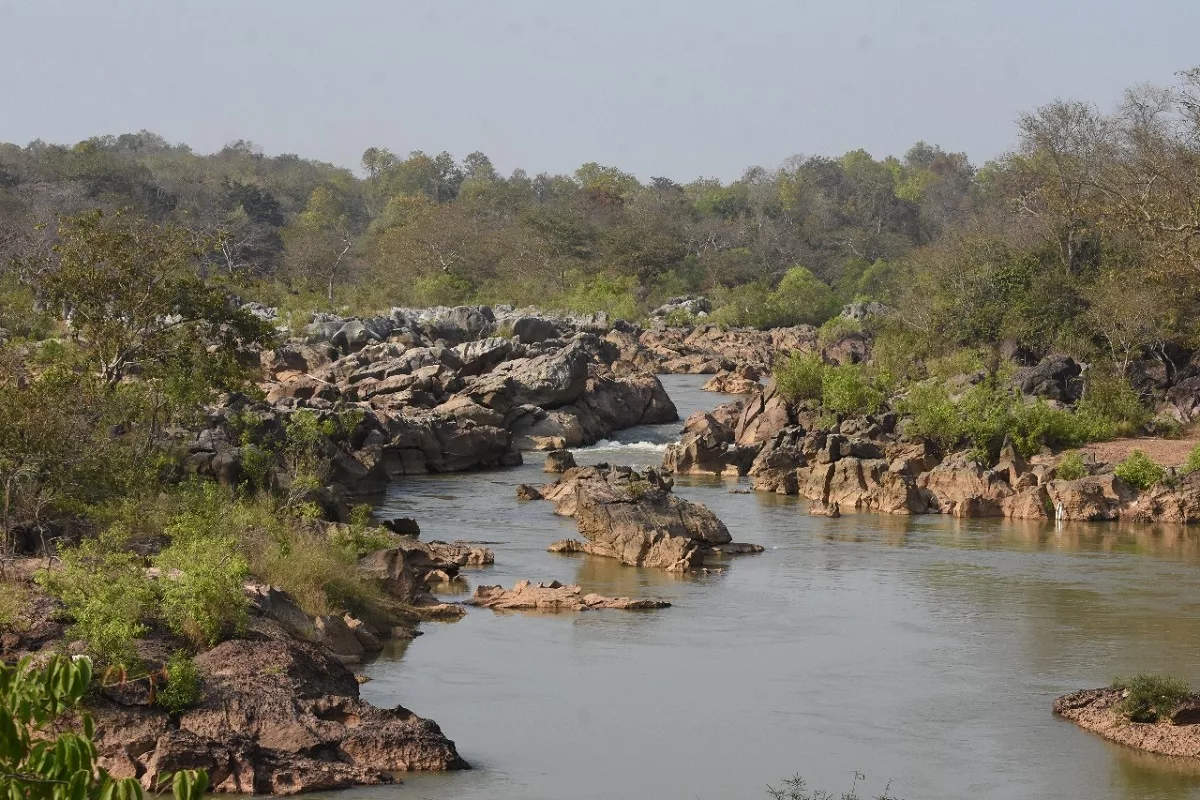 Odisha’s community land valued at Rs 36,800 crore, says study