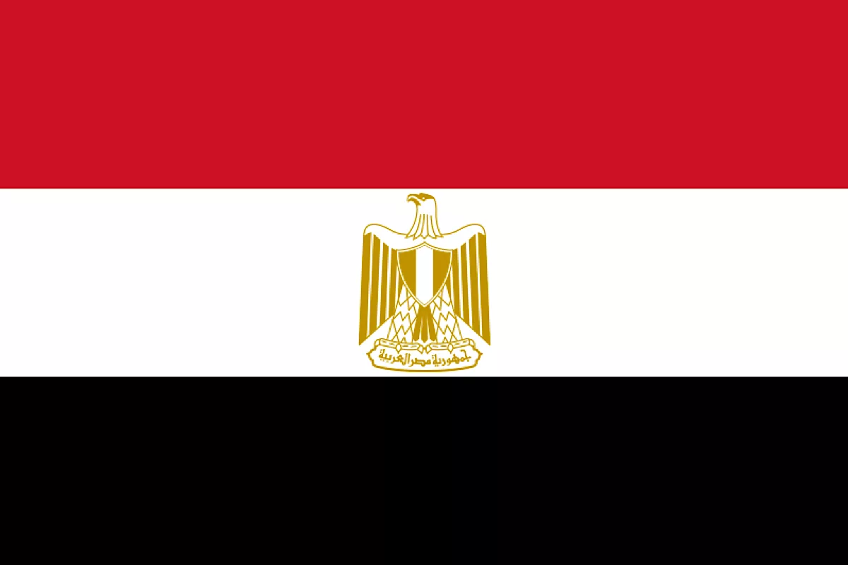 Egyptian Foreign Minister reaffirms Cairo’s support for Syrian sovereignty