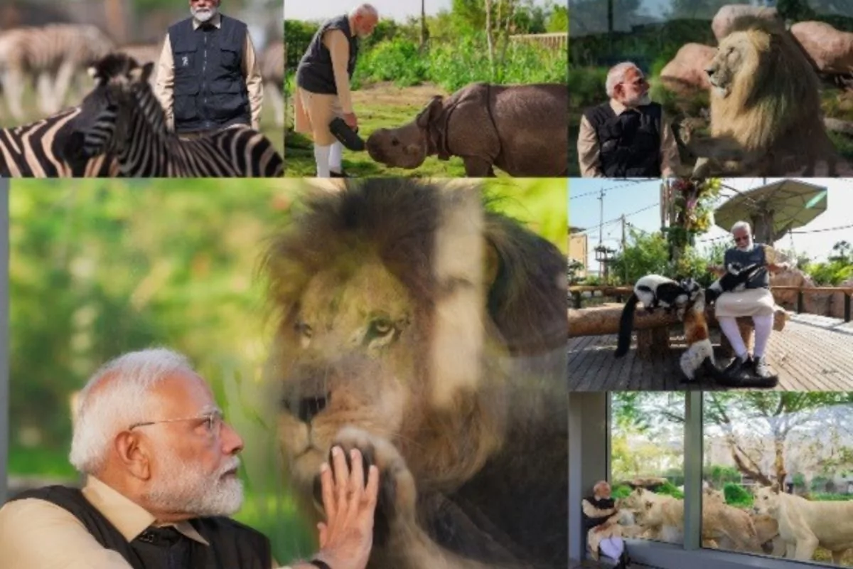 PM Modi inaugurates wildlife conservation, rehabilitation initiative in Gujarat