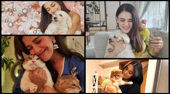 pets day, bollywood, bollywood actors