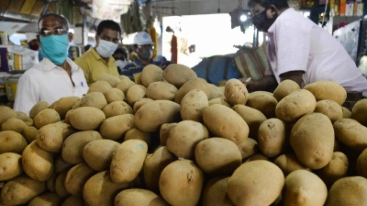 Cabinet approves establishment of International Potato Centre in Agra
