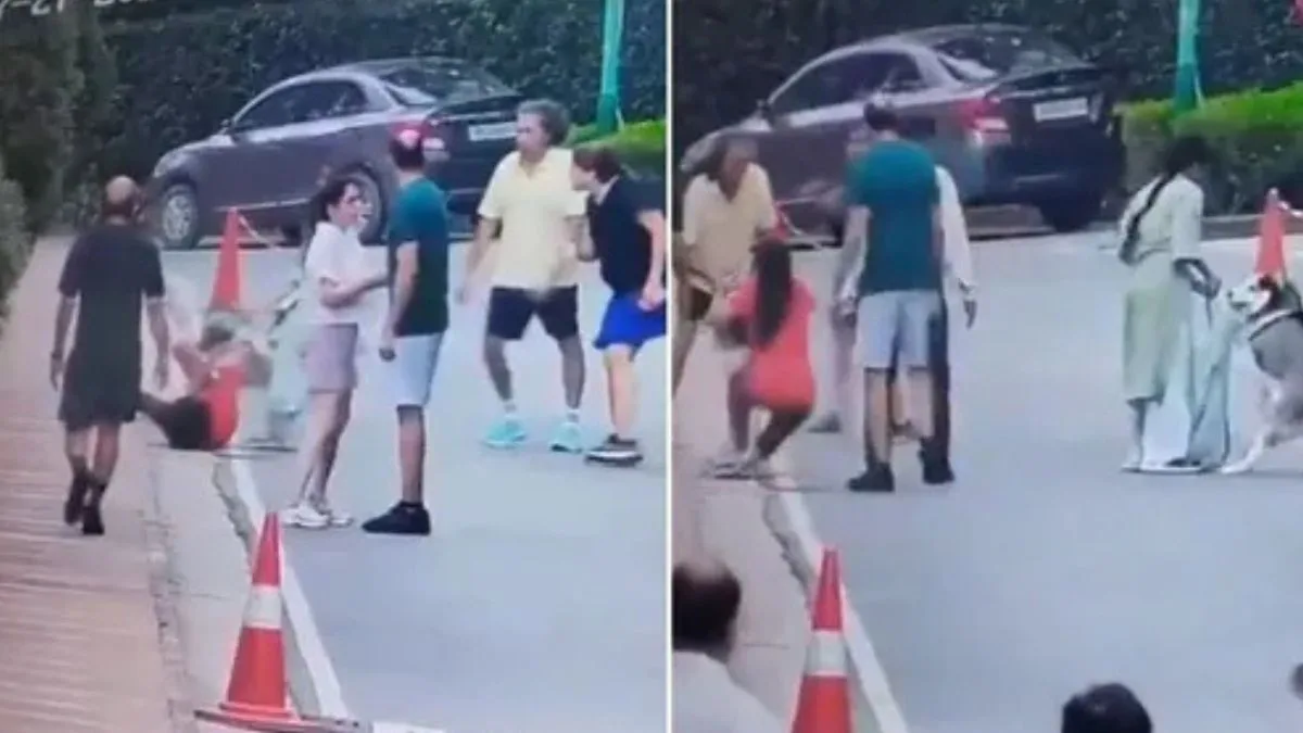 Pet Husky dog attacks woman during morning walk in Gurugram, leaves her seriously injured | VIDEO