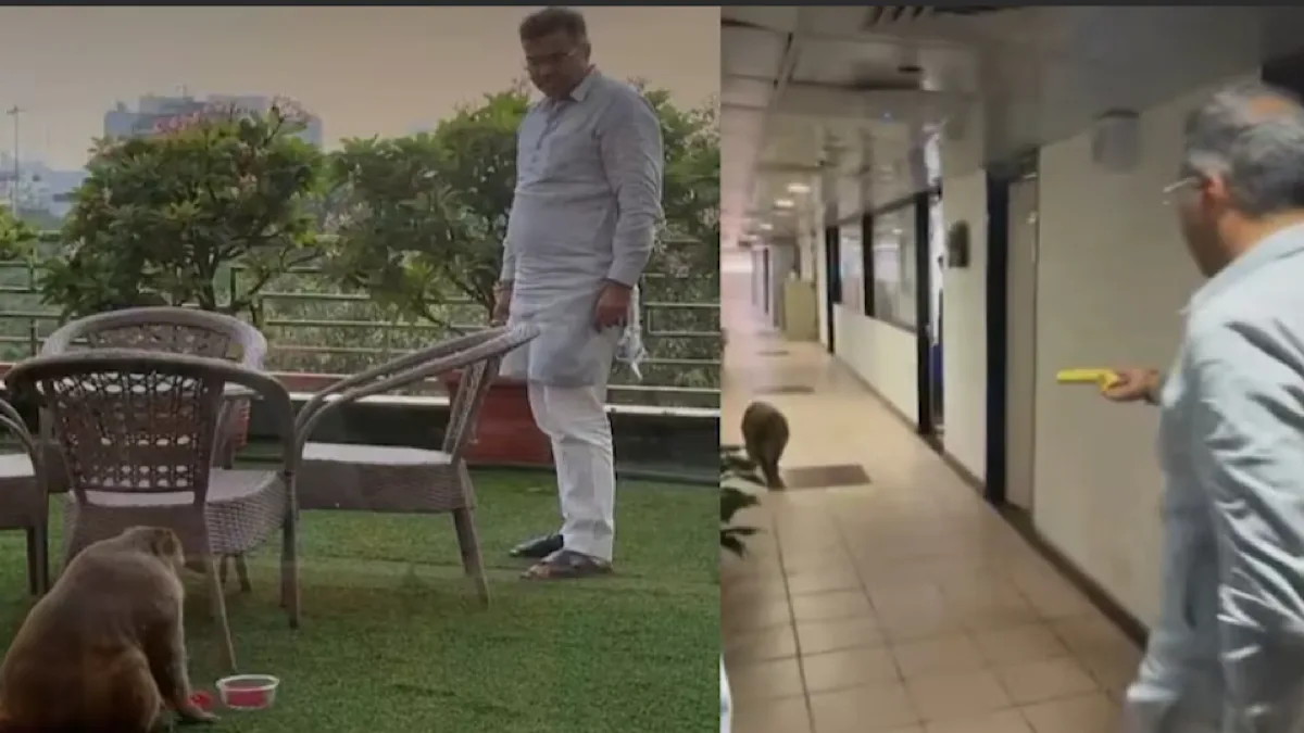 Monkey visit to Minister’s office sparks divine buzz online