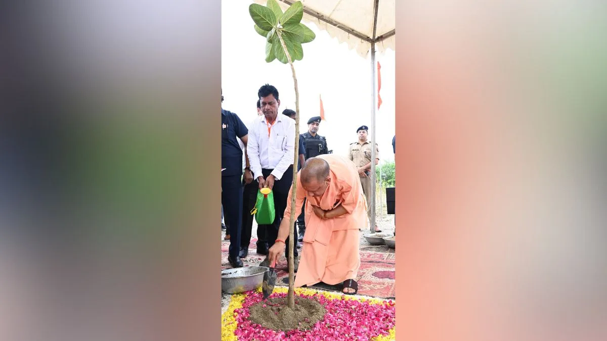 We planted 204 crore saplings, reforested 5 lakh acres in 8 years: CM Adityanath