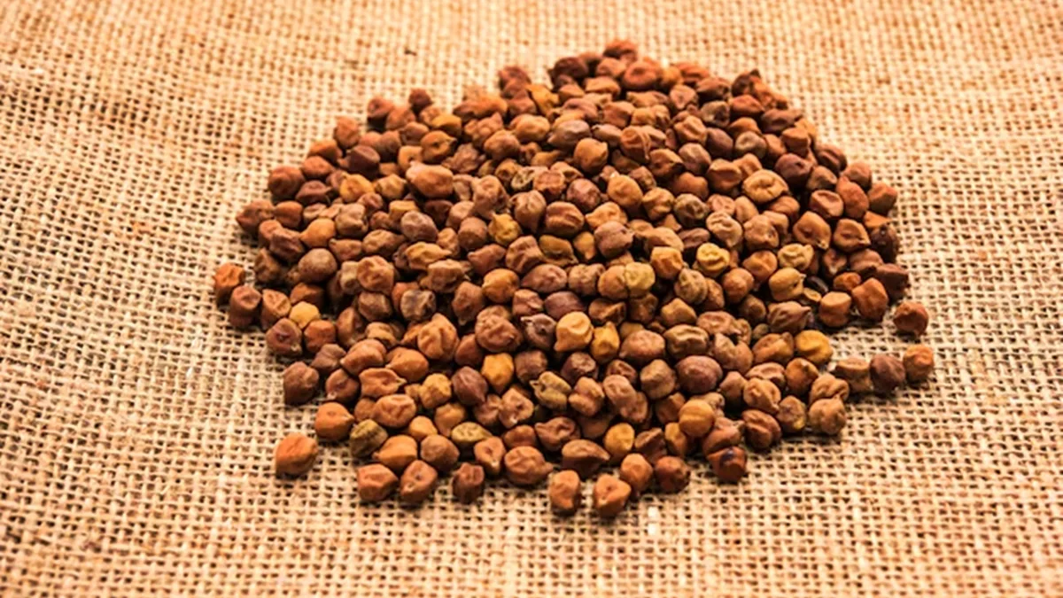 Kala Chana is a nutritional treasure: Your grandma was right