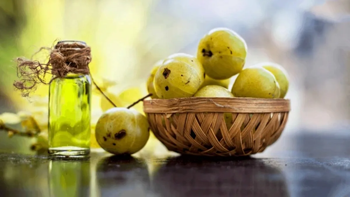 Amla hair oil: A traditional remedy for modern hair problems
