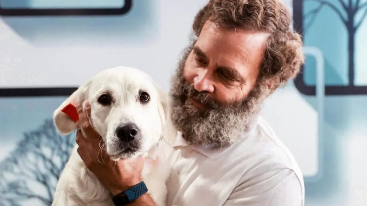 ‘Cruel and shortsighted’: Rahul Gandhi on Supreme Court’s stray dogs removal order
