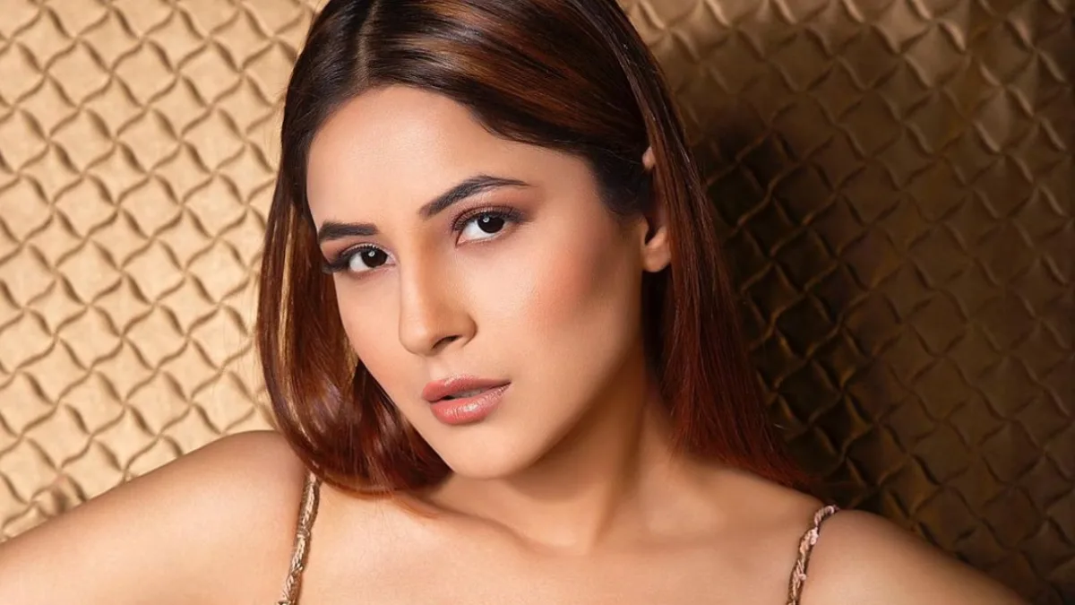 Shehnaaz Gill hospitalised: While fans shower love, Karan Veer Mehra shares hopeful update