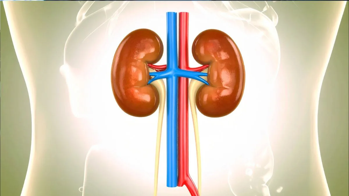 Muslim man offers kidney to Hindu seer in MP